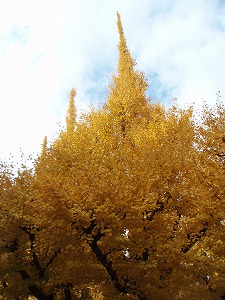 c0105785_9404940.jpg