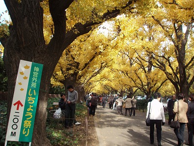 明治神宮外苑 ～第11回いちょう祭り編_c0105785_9554876.jpg