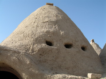 f0058691_8131444.jpg