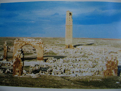 f0058691_8161818.jpg