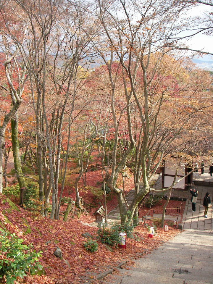 京都の秋（３）常寂光寺は「全山紅葉」。_f0100593_14402470.jpg