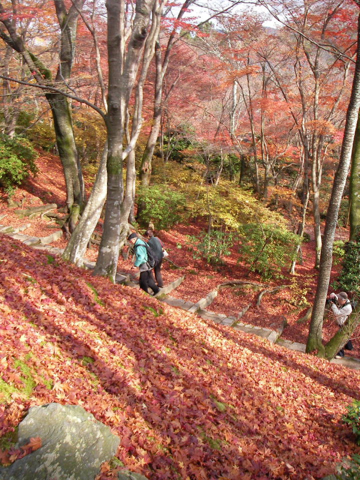 京都の秋（３）常寂光寺は「全山紅葉」。_f0100593_14414015.jpg