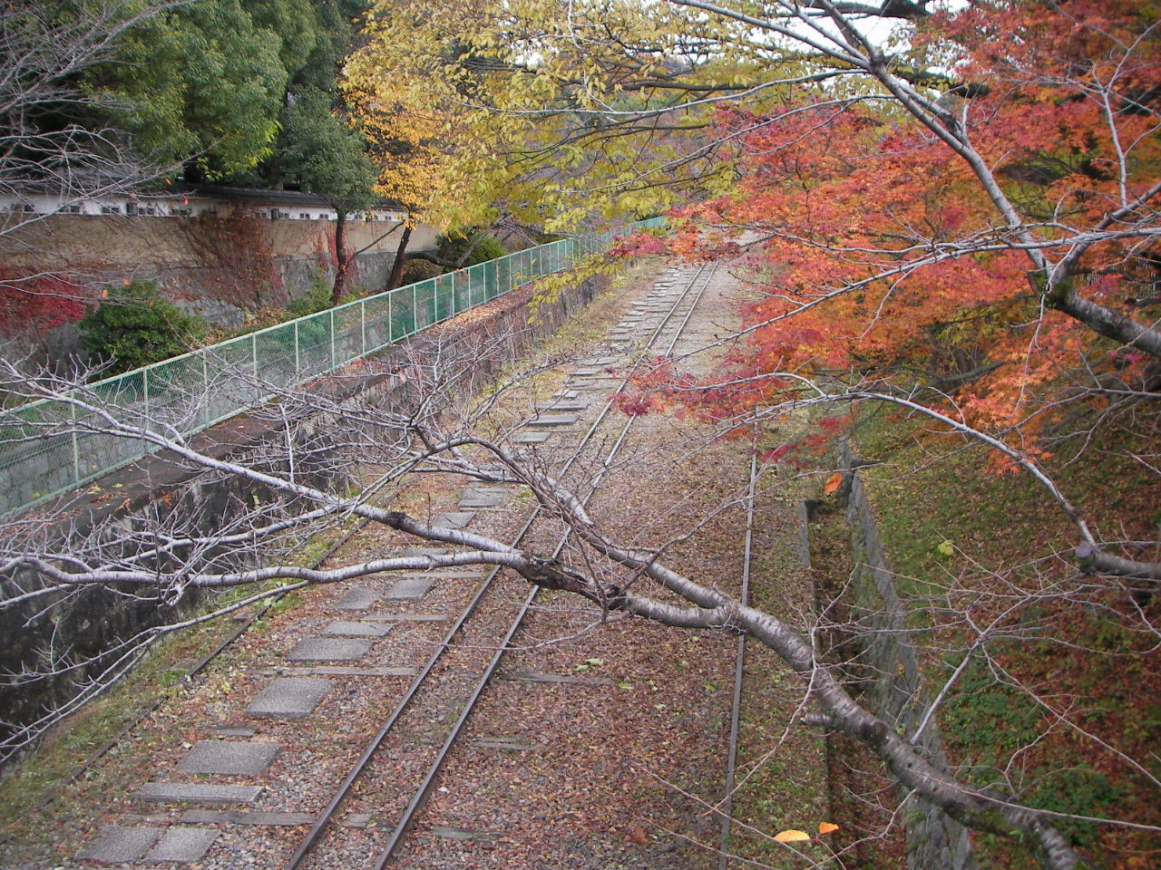 京都の秋（６）琵琶湖疎水とインクラインを歩く_f0100593_1518179.jpg