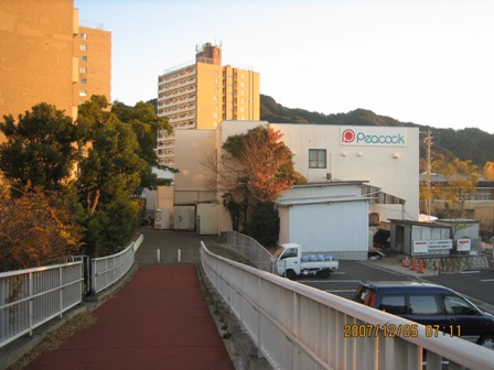 六甲全山従走惨敗_c0147398_15123358.jpg