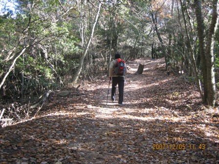 六甲全山従走惨敗_c0147398_1520270.jpg