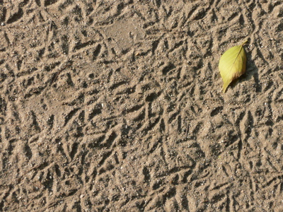 f0146198_23566.jpg