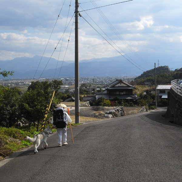 11月21日（水）　秋へんろ第9日め_c0049299_21552221.jpg