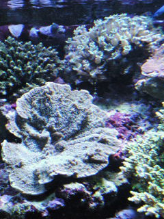 c0144699_18594145.jpg