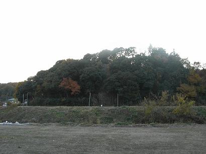 気軽な埼玉県の散歩道　仙元山＆ポンポン山_b0116703_104424.jpg