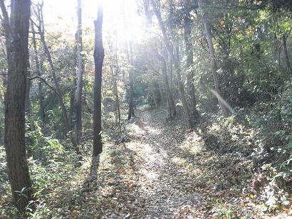 気軽な埼玉県の散歩道　仙元山＆ポンポン山_b0116703_1295133.jpg