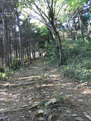 気軽な埼玉県の散歩道　仙元山＆ポンポン山_b0116703_1361574.jpg