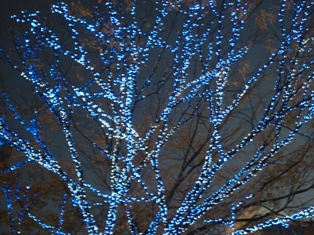 c0132205_202365.jpg