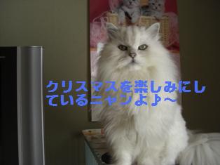 c0132205_21525474.jpg