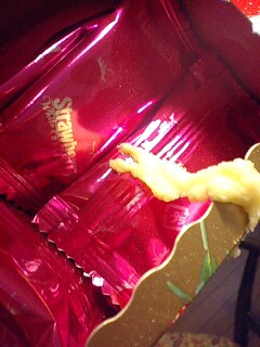 a0088306_21161231.jpg