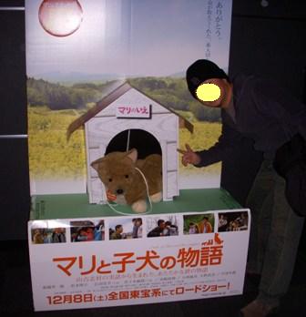 f0004309_238428.jpg