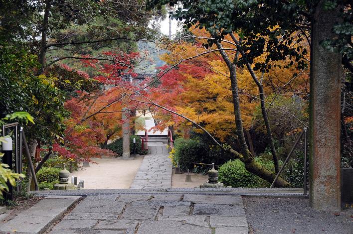 武蔵寺・天拝山(福岡県筑紫野市)_a0042310_11164324.jpg