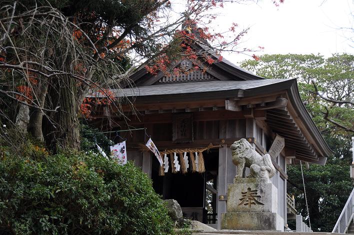 武蔵寺・天拝山(福岡県筑紫野市)_a0042310_11344386.jpg