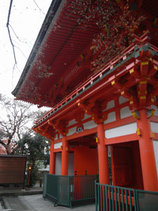 2007/12/08　近所にて_f0034922_18175952.jpg