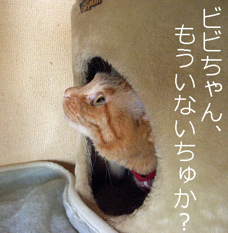 d0081025_2125861.jpg