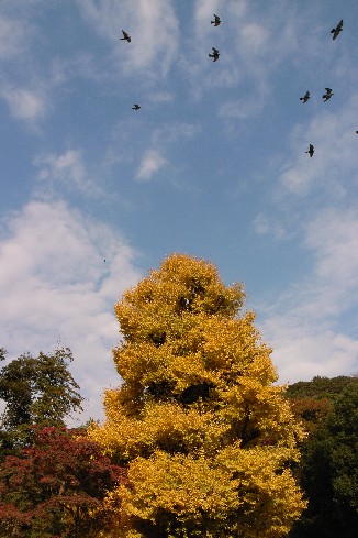 c0125735_18401992.jpg