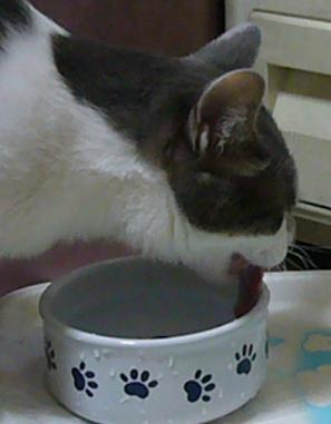 個性_f0002743_1932464.jpg