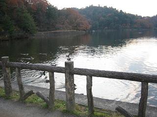 2回目の宝ヶ池はデート♪_c0049950_22154234.jpg