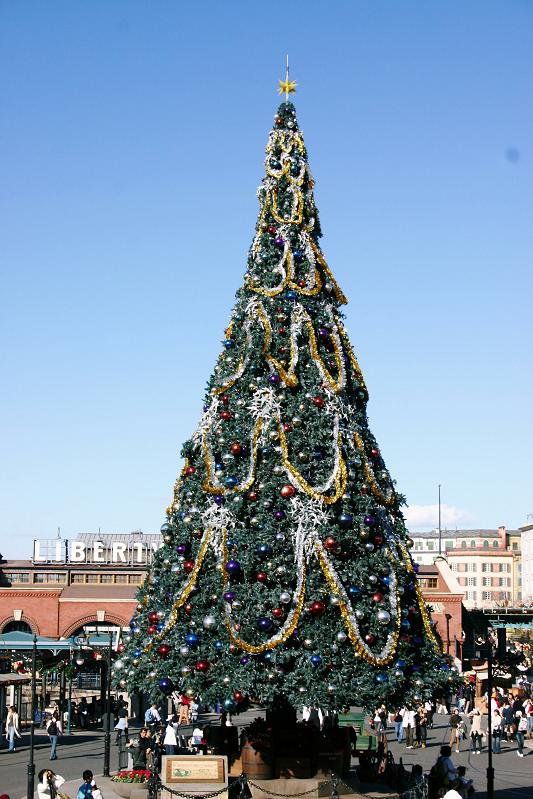 ディズニーシーのクリスマスツリー昼と夜 電飾日本 Illuminations Japan