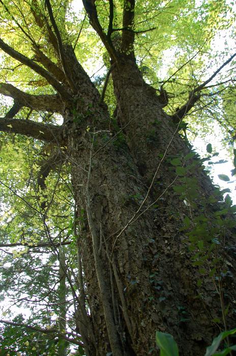 c0024254_20542141.jpg