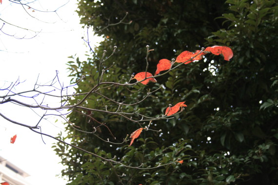c0149779_17362475.jpg