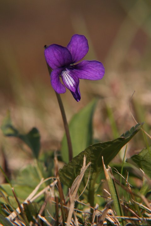 a0060882_9124425.jpg