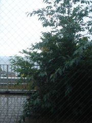 b0098584_22583320.jpg