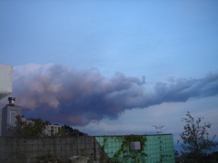 b0098584_230986.jpg