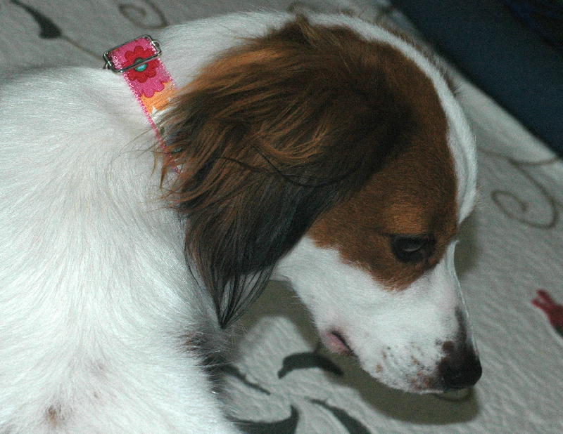 c0075585_0192078.jpg