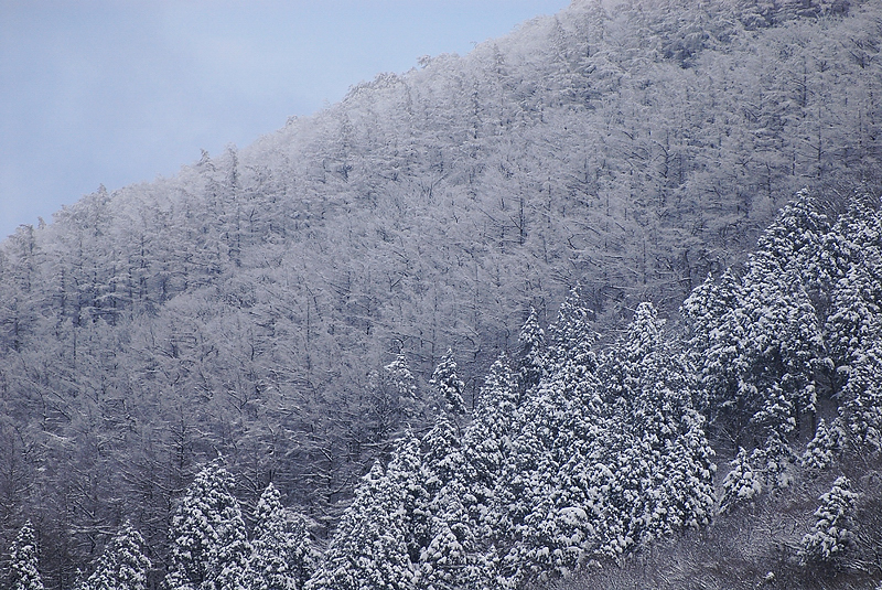 c0138991_12523614.jpg