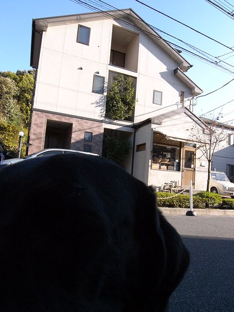 a0093592_2334362.jpg