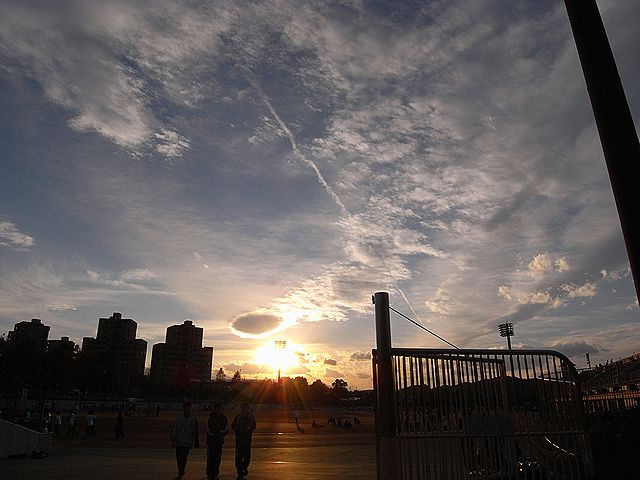 a0093592_3361024.jpg