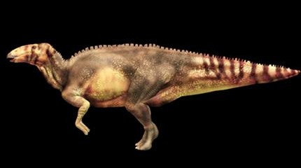 ★草食恐竜のミイラ発見!!～うろこ状皮膚がくっきりと！(ﾟﾛﾟ;)_a0028694_6331626.jpg