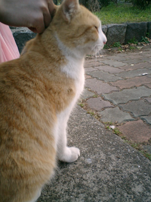 a0090996_19223322.jpg