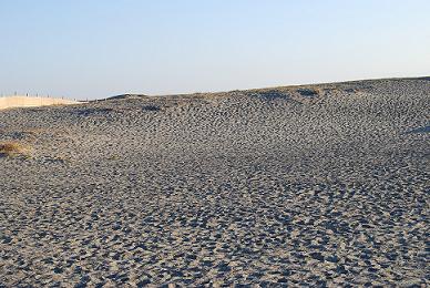b0108204_11325914.jpg