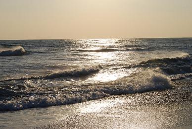b0108204_11333538.jpg