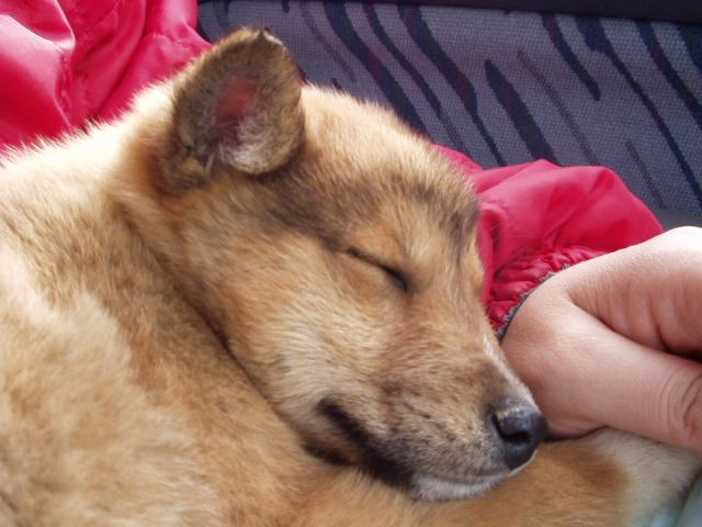 d0032004_2152368.jpg
