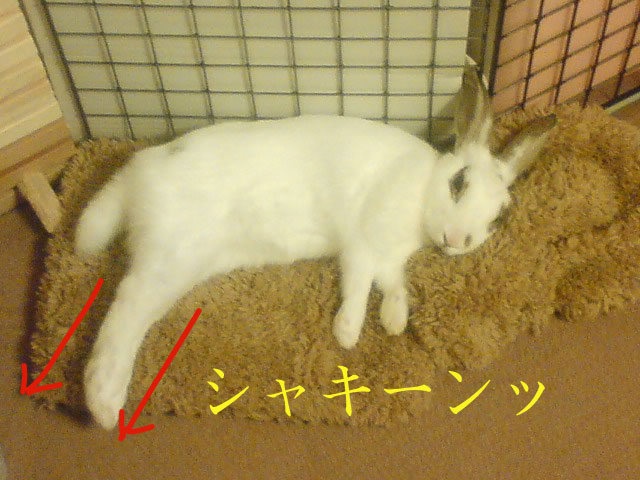 c0155208_22581265.jpg