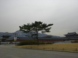 d0112211_0454234.jpg