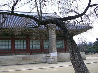 d0112211_0464198.jpg