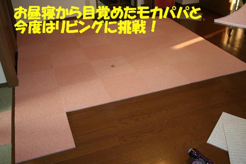 f0121712_1318692.jpg
