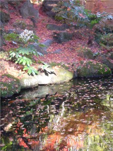 c0098813_1815619.jpg