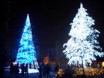 e0033713_1123220.jpg