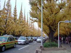 a0031714_9423491.jpg