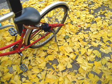 c0111017_20104340.jpg