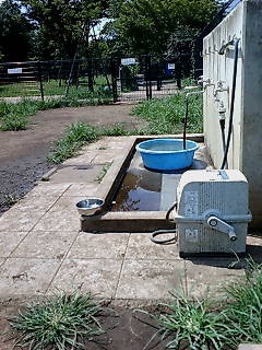 c0156021_823573.jpg